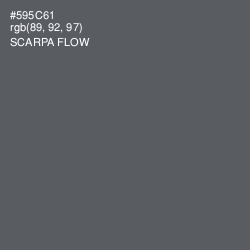 #595C61 - Scarpa Flow Color Image